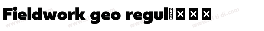 Fieldwork geo regul字体转换